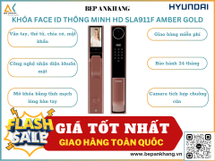 Khóa cửa thông minh HYUNDAI HD HY-SLA911F AMBER GOLD - Hệ cửa gỗ - Công nghệ Face ID & tĩnh mạch